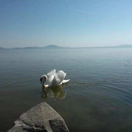 Angela Haz * Balatonberény