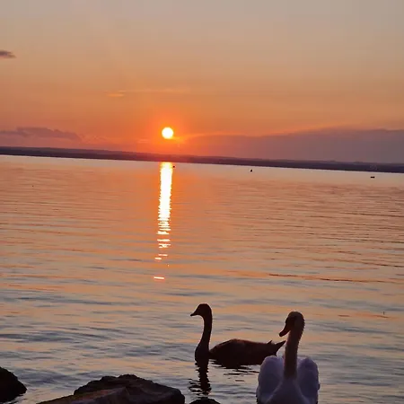 Angela Haz Balatonberény