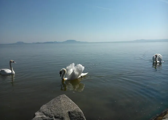 Angela Haz * Balatonberény